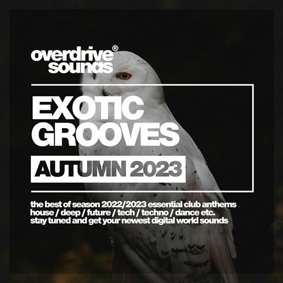 Exotic Grooves 2023 - cover.jpg