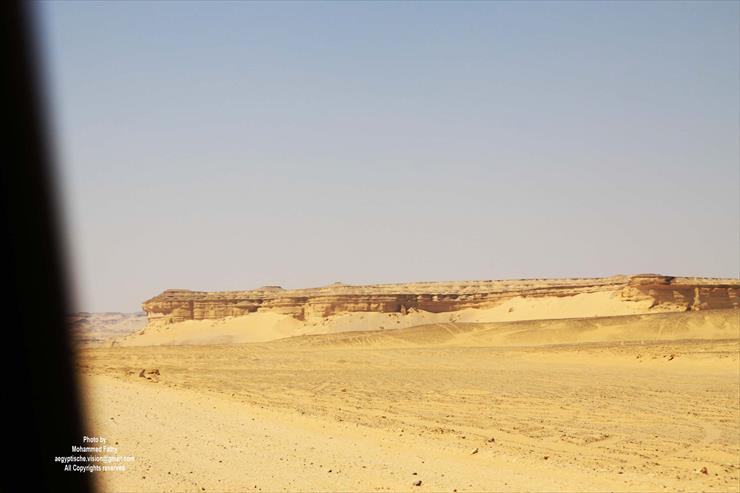 Wadi Hitan - Wadi Hitan 7.jpg